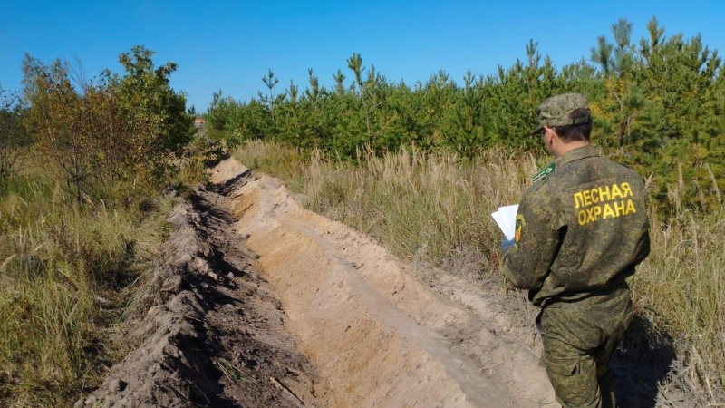 В посёлке Сосновка рабочие лесного хозяйства обновляют противопожарные полосы. АНО "ЗаМедиа"