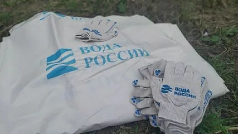 В рамках Всероссийской акции «Вода России» активисты очистили берега Песчаного ручья. АНО "ЗаМедиа"